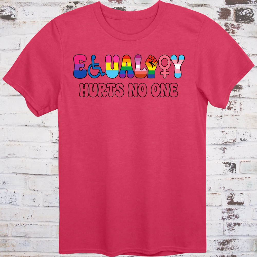 The word EQUALITY spelled using inclusive movement symbols — wheelchair icon, lambda, progress pride fist, lesbian symbol, Venus sign, and trans symbol — above HURTS NO ONE in bold white text on a dark background.