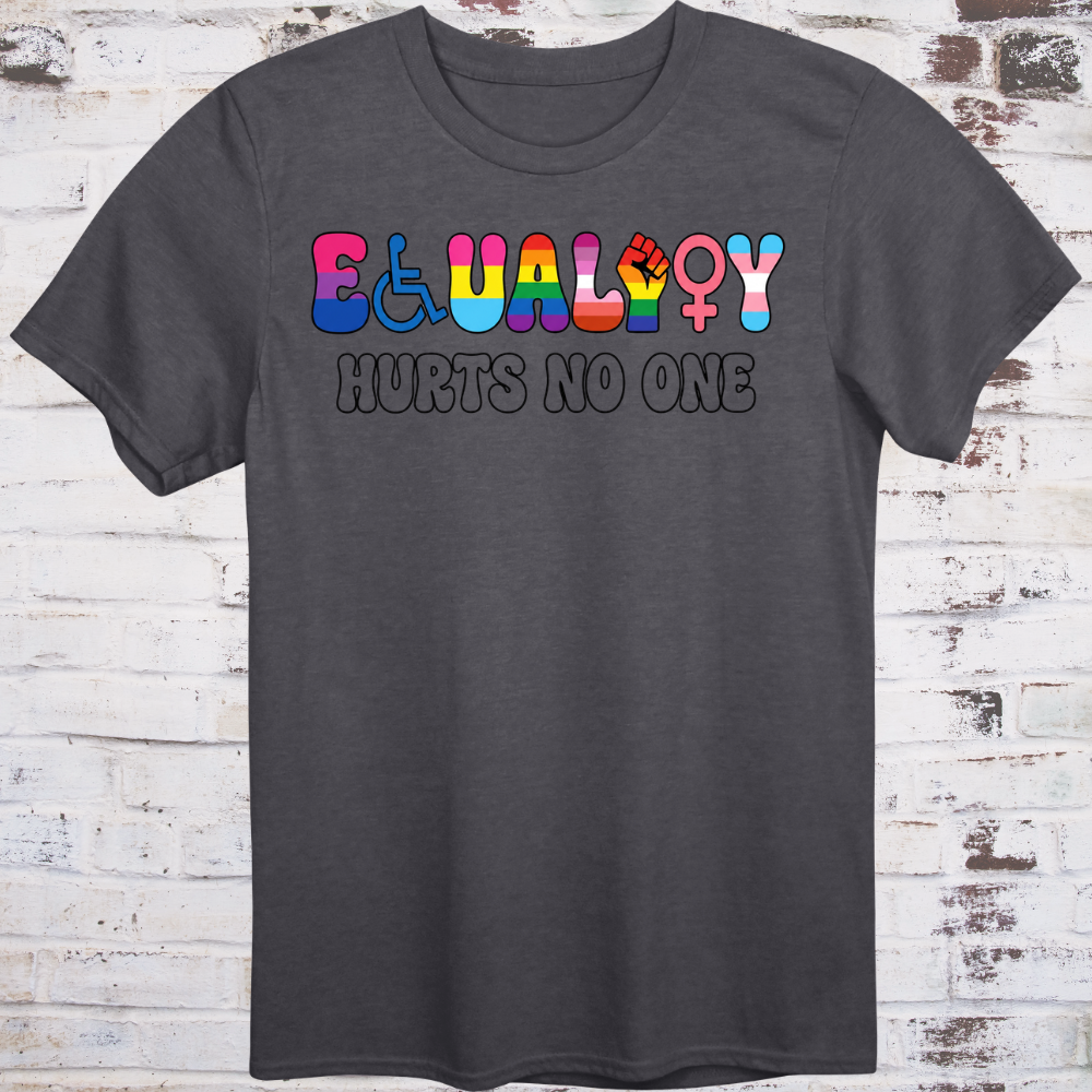 The word EQUALITY spelled using inclusive movement symbols — wheelchair icon, lambda, progress pride fist, lesbian symbol, Venus sign, and trans symbol — above HURTS NO ONE in bold white text on a dark background.